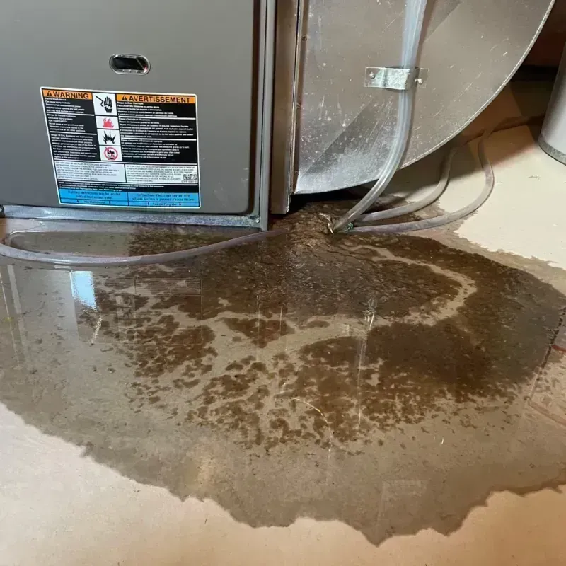 Appliance Leak Cleanup in Peralta, NM